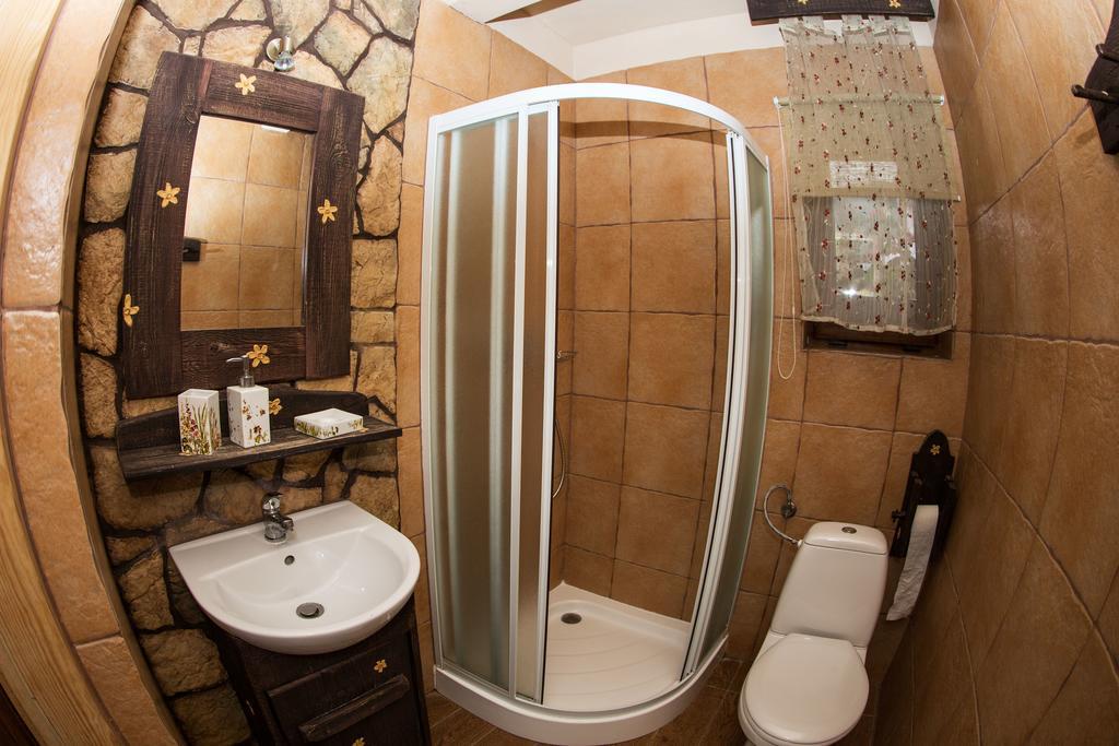 Zielony Ruczaj Cisna Cameră foto