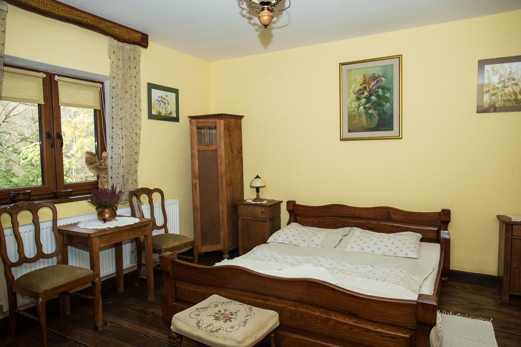 Zielony Ruczaj Cisna Cameră foto